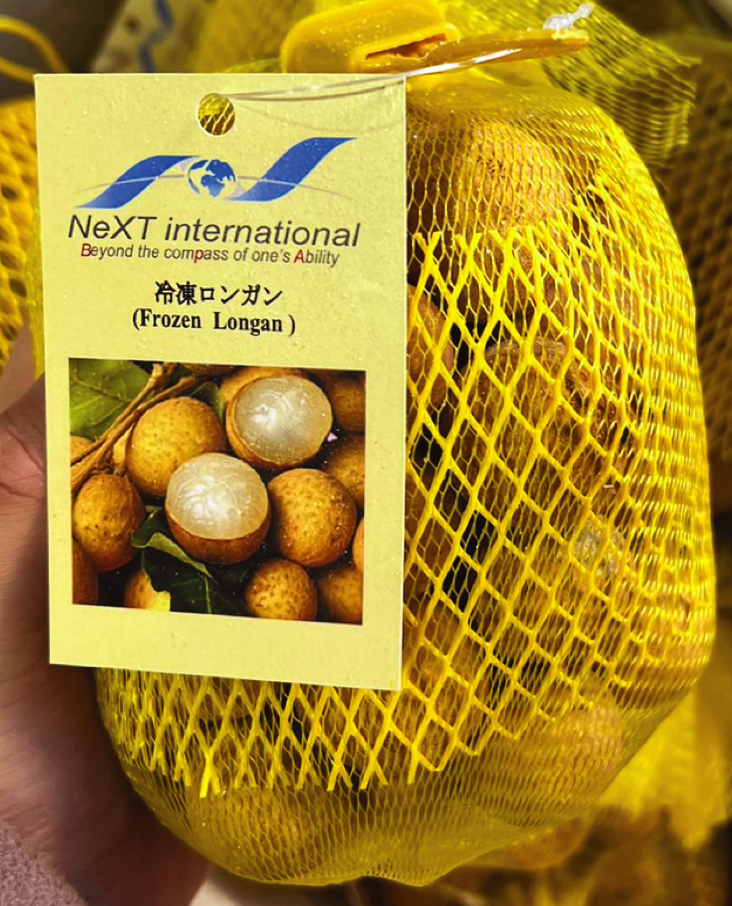 10108 - 冷凍ロンガン 500g