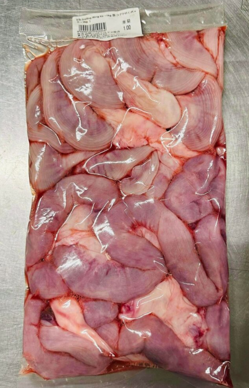 10201 - Tử cung heo