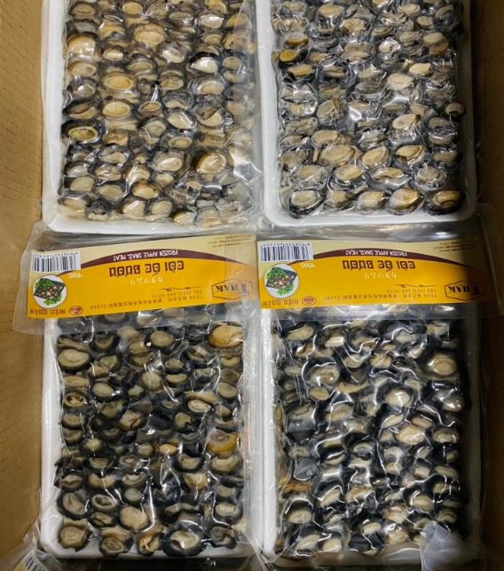 10210 - カタツムリ 450g