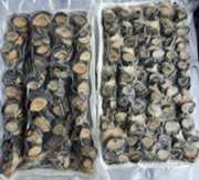 10283 - つぶ貝 500g