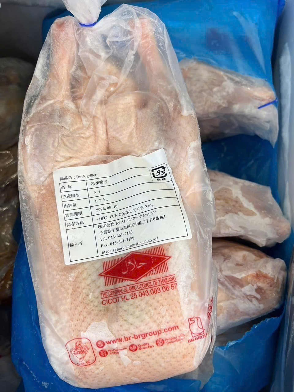 10550 - Nakatenggang karne ng pato 1.7kg